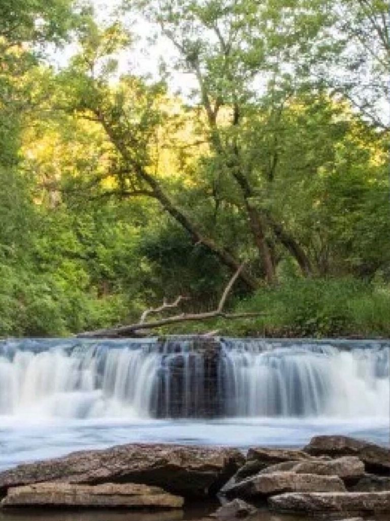 Things to do near Chicago